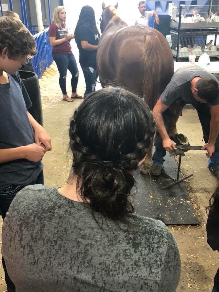 ArkansasFFA's tweet photo. Greenbrier Ag Ed students learning about the equine industry today from professional farrier! #ThisIsArAgEd @ARCareerEd https://t.co/sP2H1ddqus