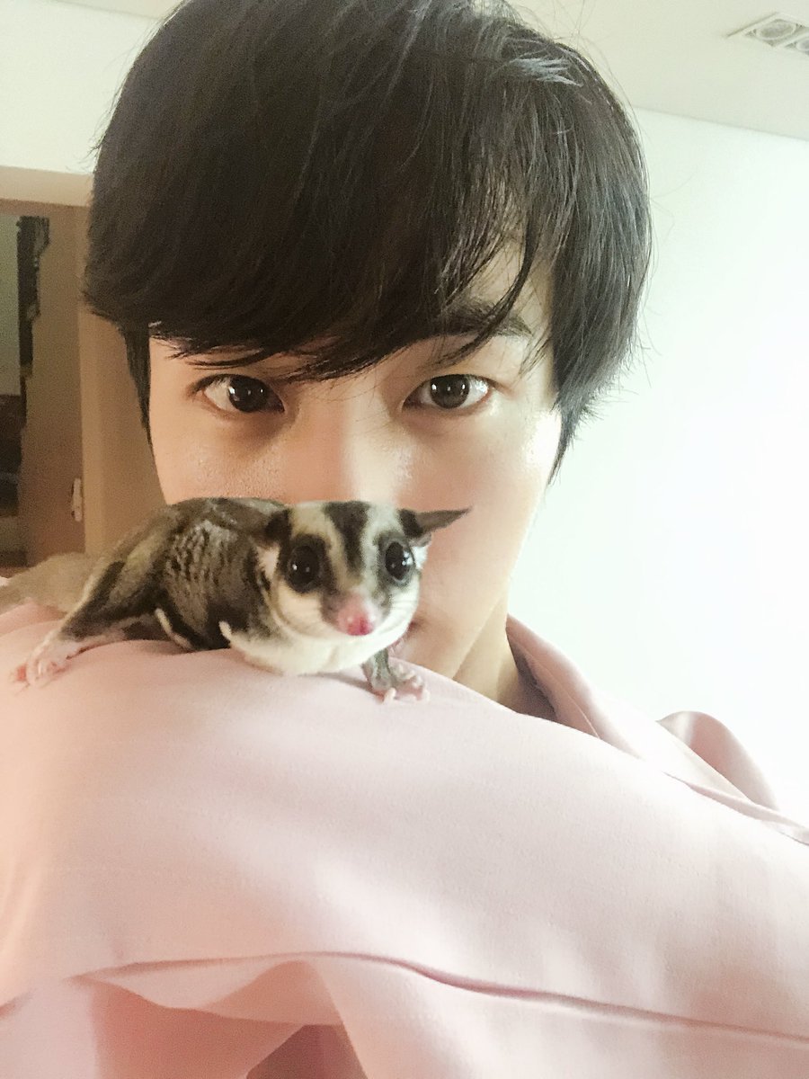alwaysarmy11's tweet photo. mascota de seok jin muere en el viaje de los chicos hace muy pocotiempo
espero pueda recuperarse jin de la perdida #emouk @BTS_twt https://t.co/rQpL8MDyMi