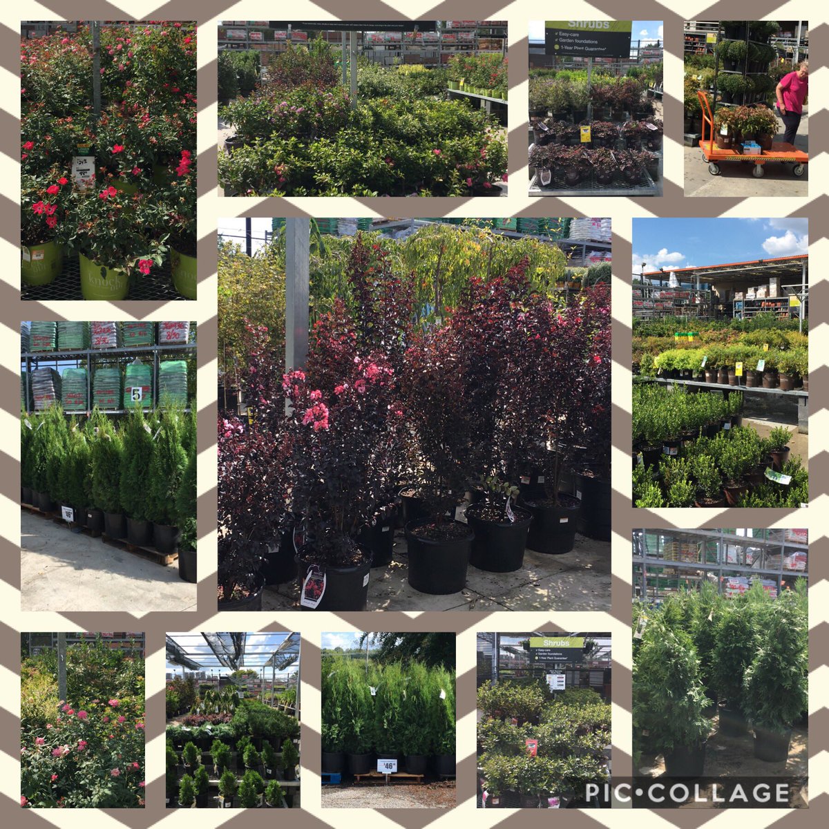 7Karthur's tweet photo. 🍁🍁It’s Fabulous Friday!🍁🍁
Traci at Home Depot Kingston Pike has just what you need to add that “WOW!” factor to your patio, deck, landscape or home! #HD730 #Knoxville @jaybisping @Jaydeckard @NealMattison @MichaelGPena @RyanDon77463401 https://t.co/Lar60ctNoT