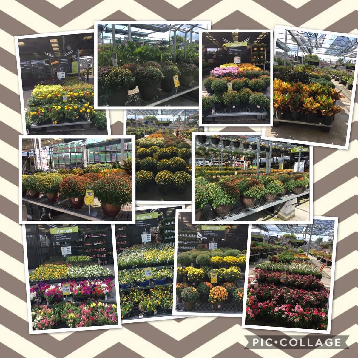 7Karthur's tweet photo. 🍁🍁It’s Fabulous Friday!🍁🍁
Traci at Home Depot Kingston Pike has just what you need to add that “WOW!” factor to your patio, deck, landscape or home! #HD730 #Knoxville @jaybisping @Jaydeckard @NealMattison @MichaelGPena @RyanDon77463401 https://t.co/Lar60ctNoT