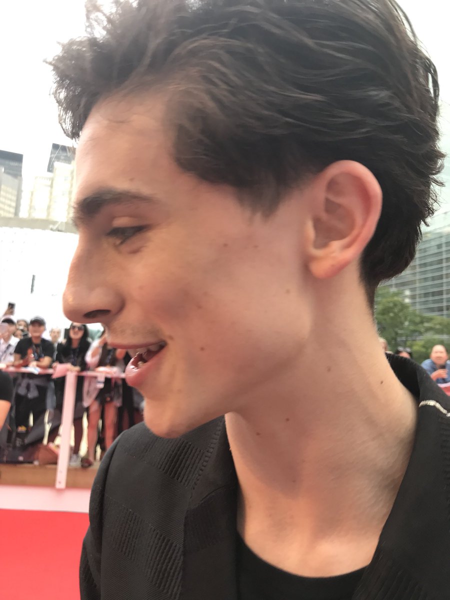 highkeychalamet's tweet photo. timothée chalamet is literally the most beautiful man ive ever seen https://t.co/863BCyjo10