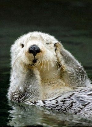 コスプレイヤー菌烨takoのTwitter画像43