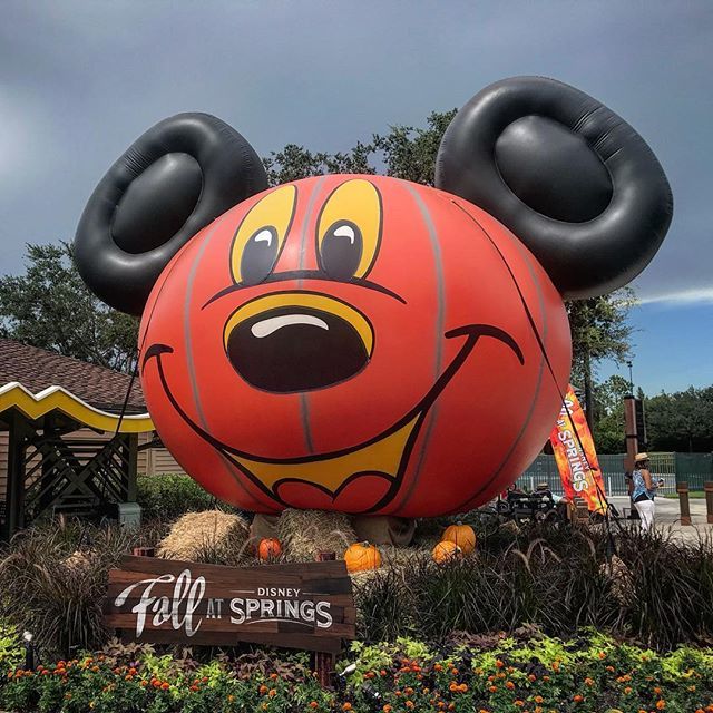 MousePlanet's tweet photo. It’s Fall @disneysprings #waltdisneyworld #pumpkinmickey #photobyasd https://t.co/NjoaSW8L1k @alandalinka https://t.co/SVbMotltBs