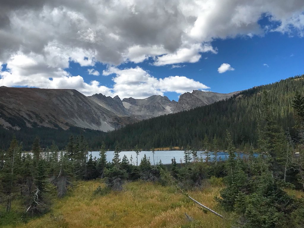 Not a bad way to spend an afternoon. #naturetherapy