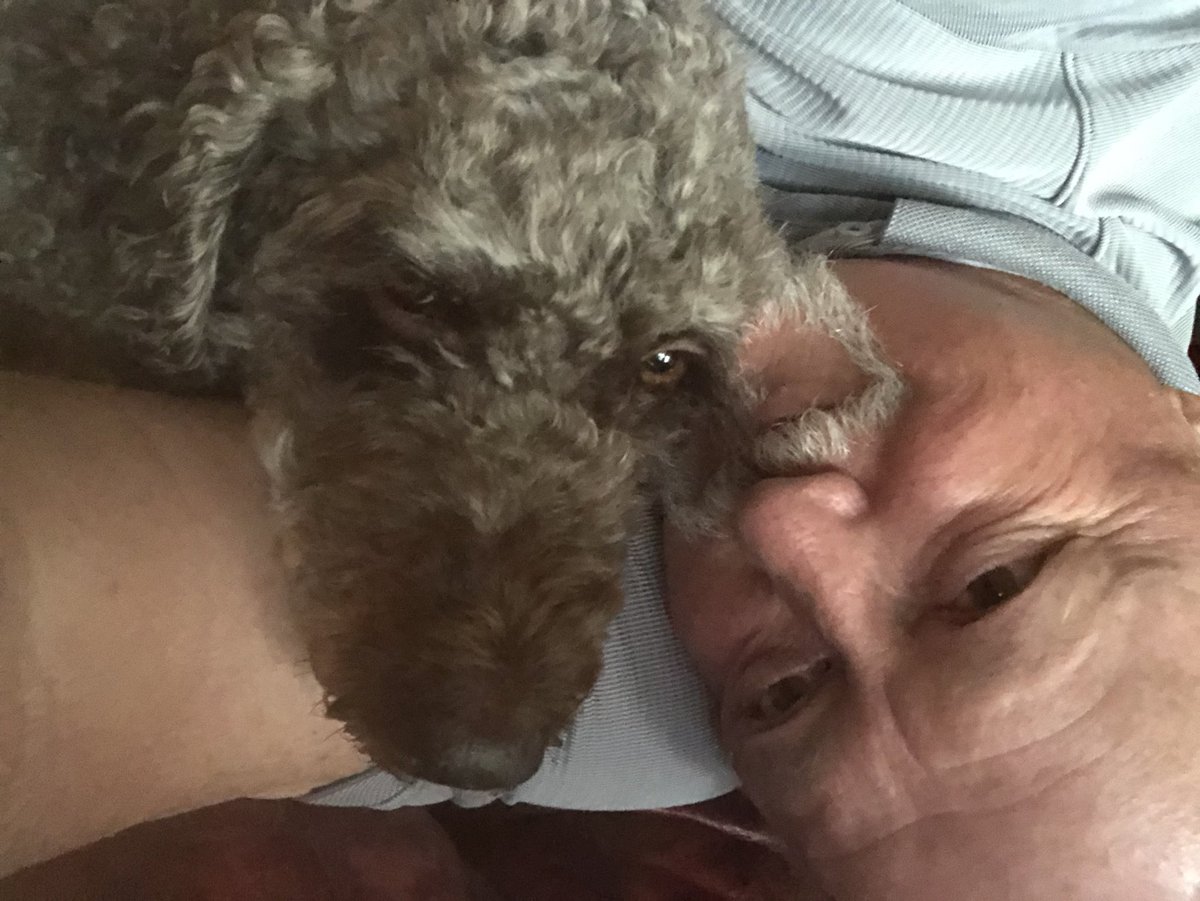 michaelandassoc's tweet photo. Good trip. Glad to be home. Easy to see who missed me most!  #JustRightWorld https://t.co/91w5uipWpC