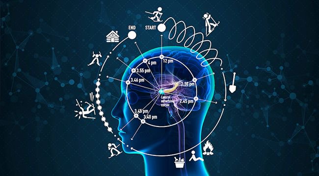 NorAmNews's tweet photo. Nobel-winning team discovers brain cells that may hold the key to our subjective experience of time—using chocolate  https://t.co/nq4o2fu4Ze #News #ResearchandScience https://t.co/Gy2ML6IHxR