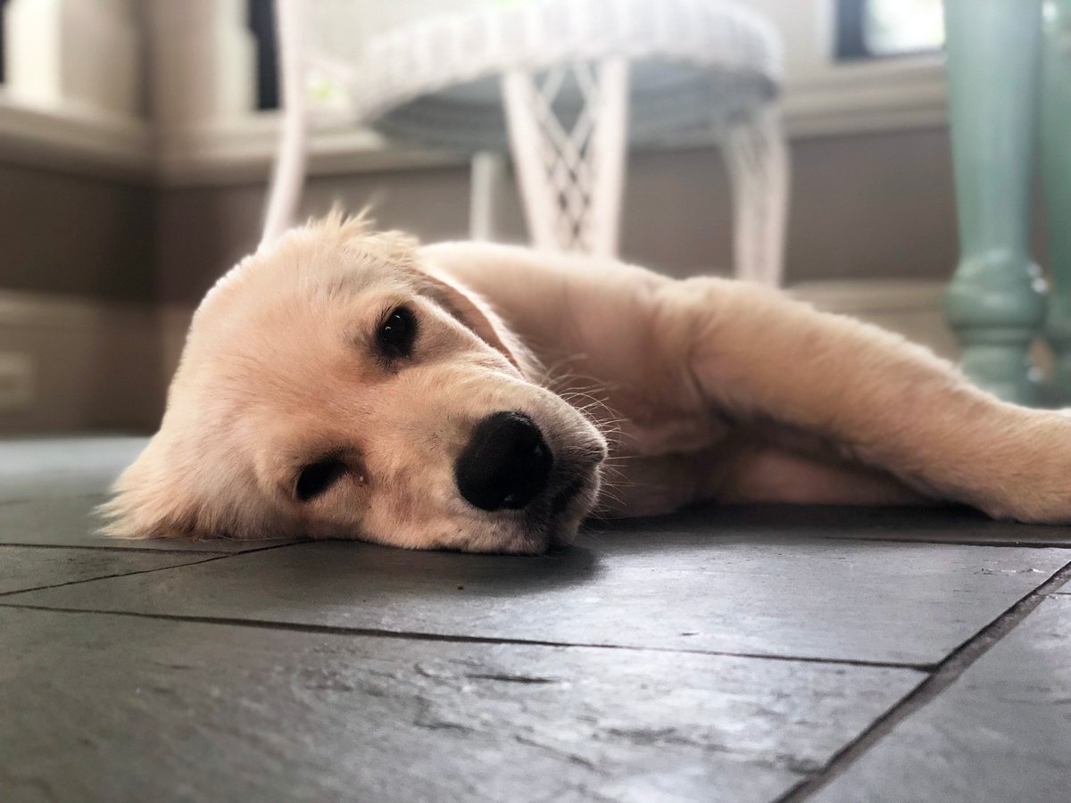 It's been a long week.