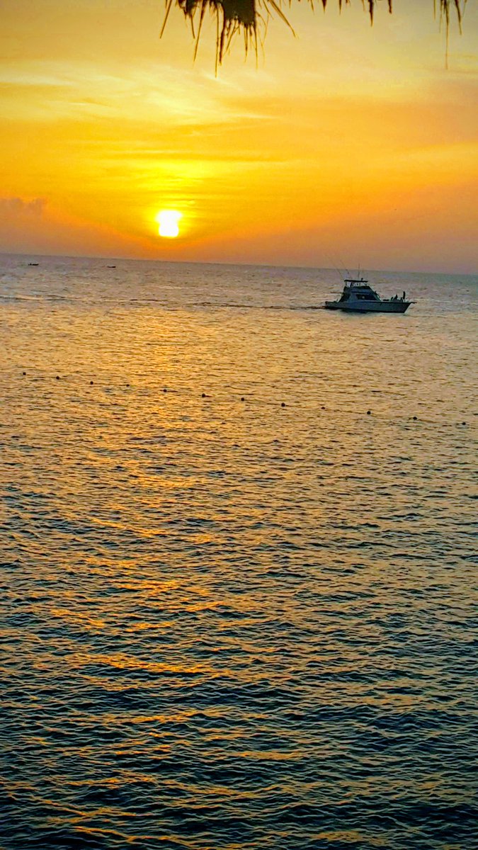 tami_j16's tweet photo. The end of another perfect day in #MyJamaica๐ฏ๐ฒ #NegrilSunset ๐
@JaMRocKGeM look at this masterpiece...God's artwork ๐ https://t.co/i8iACIdGrn