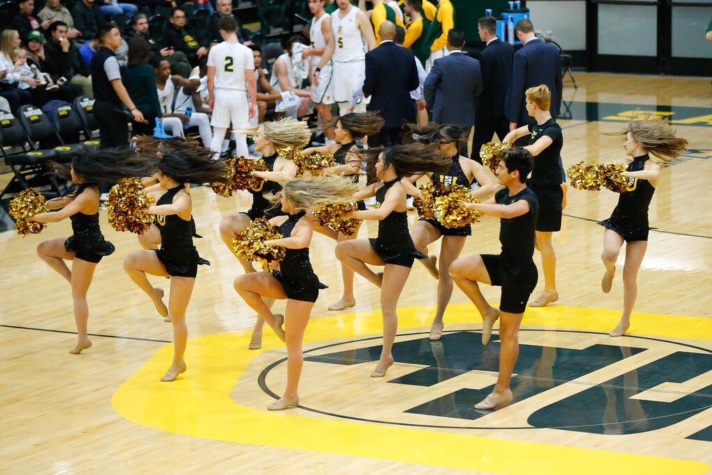 USF Spirit Squad tweet media