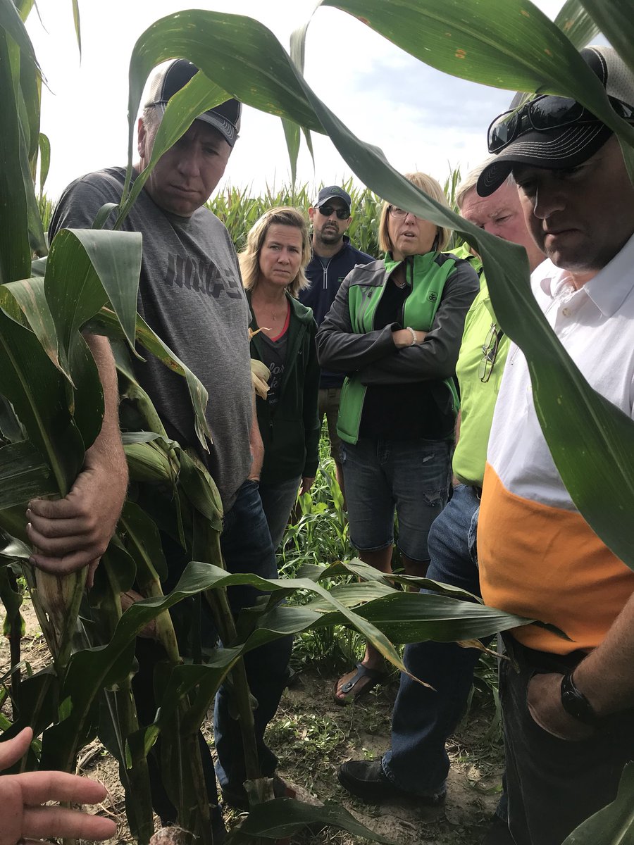 BgrowInc_BigB's tweet image. Great first meeting today at @BetterFields headquarters for #teamPowerPioneer with @Lisampower333 leading and @SeligaJohn taking over as our #agronomynerd #futurelooksbright #theteamtokeepaneyeon @PioneerSeedsCA #KCFO