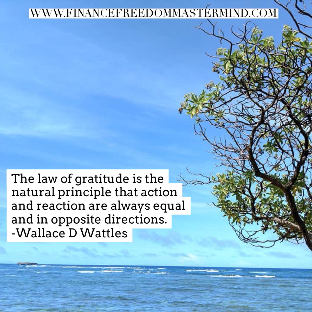 The law of gratitude is the natural principle that action and reaction are always equal and in opposite directions. 

@financefreedommastermind

#lawofgratitude #naturalprinciple #wallacedwattles #action #reaction #3gc4gb #endlesssummerprofits #takingaction #rightdirection #e