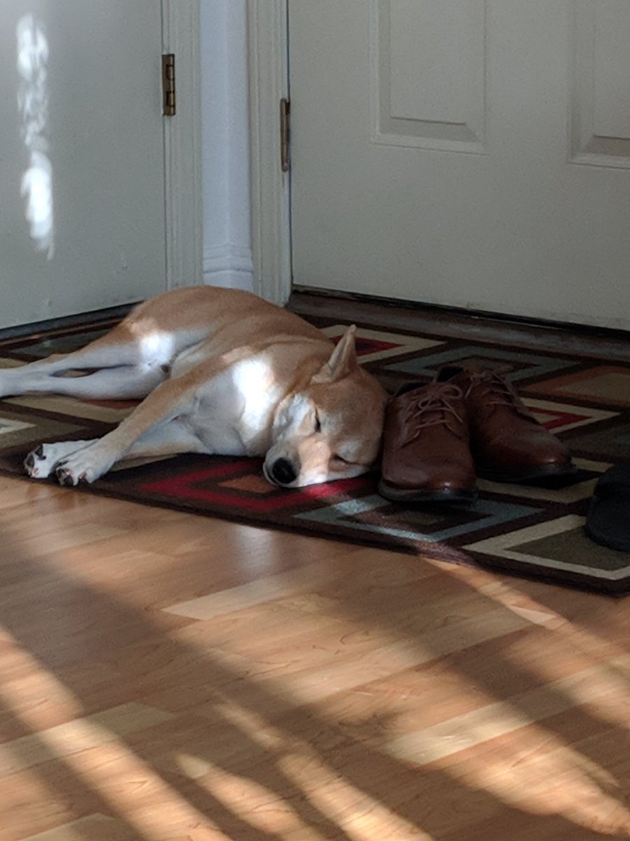 hwanmoney's tweet image. It's a hard life #shoead