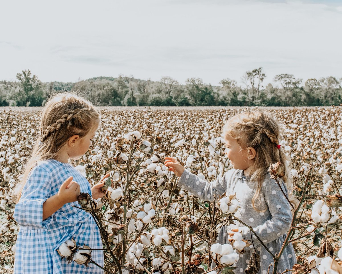 One of my favorite memories from living in Georgia, was visiting this beautiful cotton field. It looked like a snowfall! It should be in bloom again in a few weeks, just in time for Fall photos!