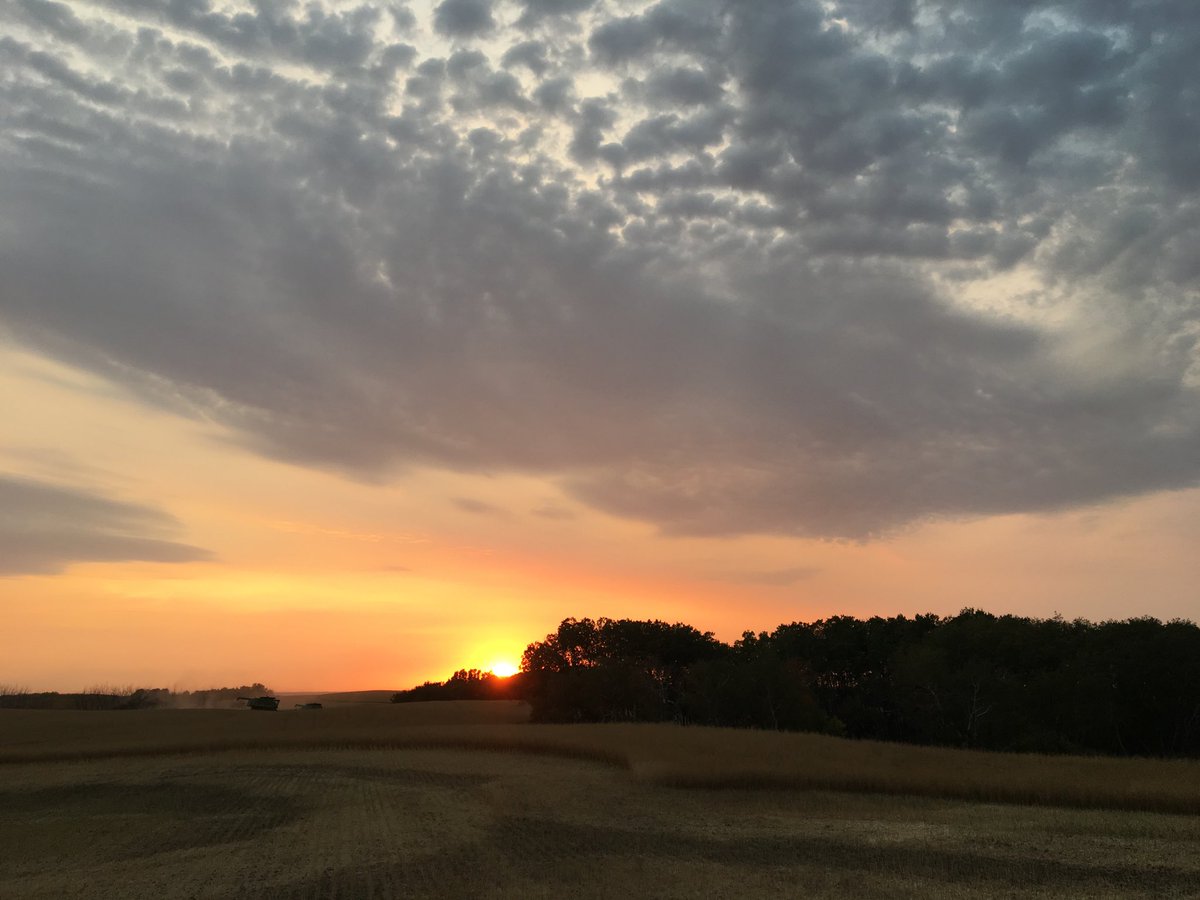 glen hill (@greenfieldglen) on Twitter photo 