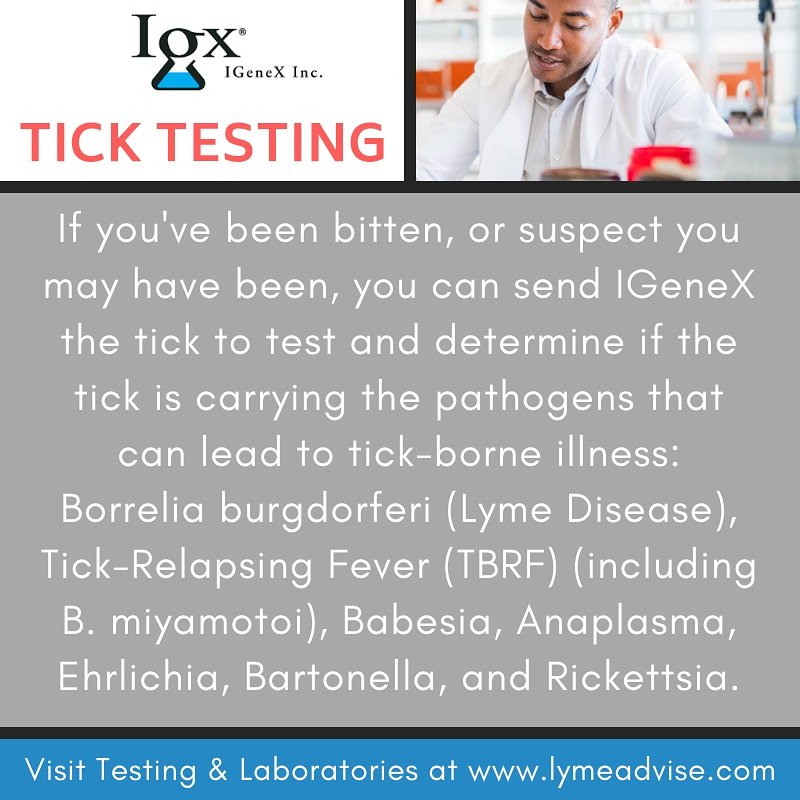 AdviseLyme's tweet image. Igenex offers tick testing - we always suggest ticks be tested if they have bitten you. 
.
lymeadvise.com/igenex
.
#ticktesting #tick #igenex #lyme #lymedisease #lymediseaseawareness #spoonie #awareness #lymeadvise #lymewarrior #medical #health #babesia #bartonella #rmsf