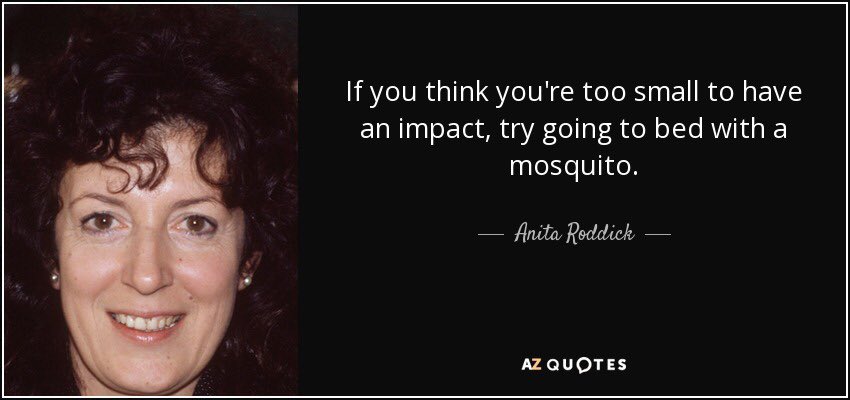 bjcreigh's tweet photo. “If you think you’re too small to have an impact, try going to bed with a mosquito.” - Anita Roddick

#VoteBlue2018
#VoteGoddamnIt https://t.co/NETUFkwNob