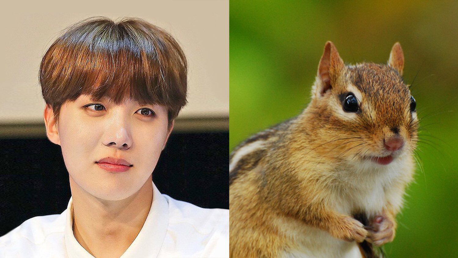 Soo Choi on Twitter "Physiognomy of each BTS_twt member