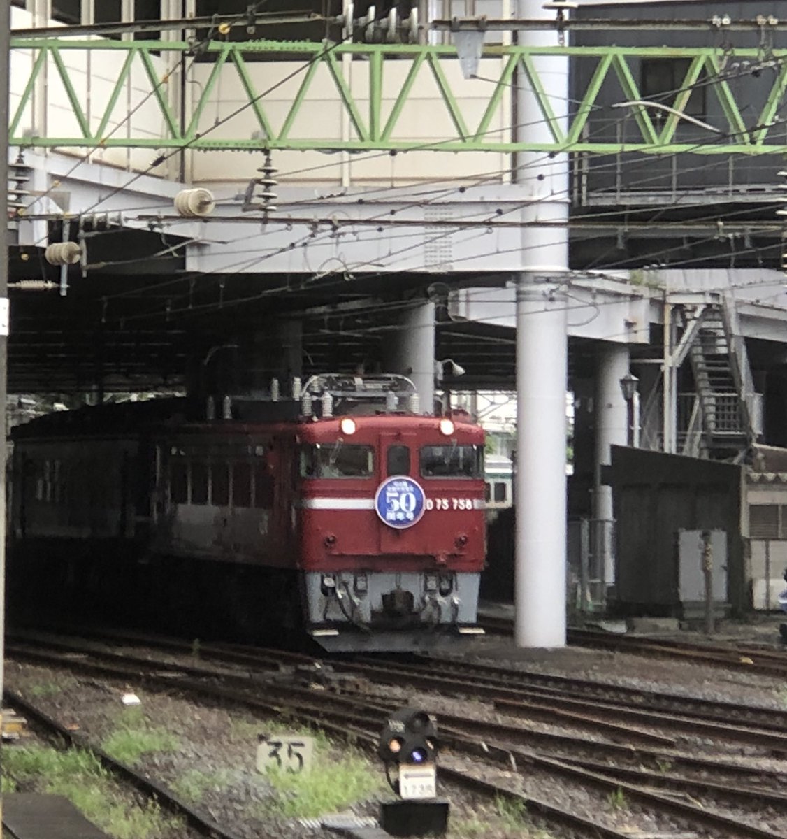 極上松山　ドクロにヒョウ根付　紙箱付　21g 東Y7-0722⭐︎2Fトヒチル 楽天市場】【最大2000円クーポン☆P2倍】壁紙 クロス のりなし