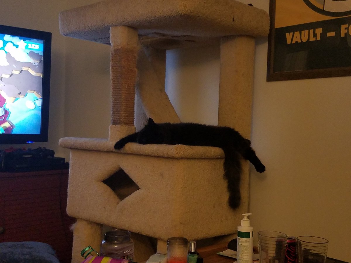 Ballpit_Gangsta's tweet photo. Luna and Logan have exhausted eachother
#CatsOfTwitter
#smokecat https://t.co/LUAGdMJQeR