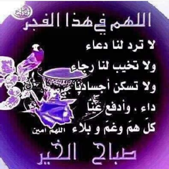 _Nawaf_R's tweet photo. آللّهُمَ آفتَحّ لنا آبوآبّ رَحَمّـتِك ،
وآرّزقـنا مِنّ حَيّث لا نحتسب، 
آللّهُمَ نور لنا دَرّوبنا 
وآغّفِرّ لنا ذَنّوبنا 
وحَقِقّ لنا مآيَگونّ خِيّر لنا ، 

    🌹 صبــاح الخـيـــر 🌹 https://t.co/saihTKxZBC