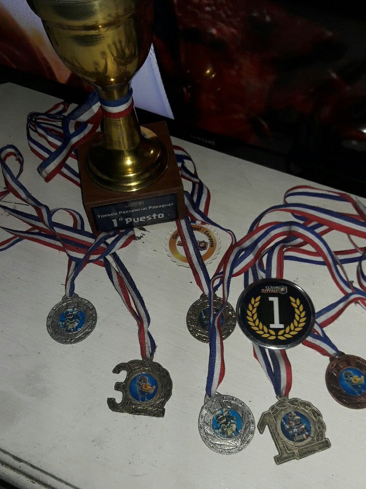 Tucansito tweet media