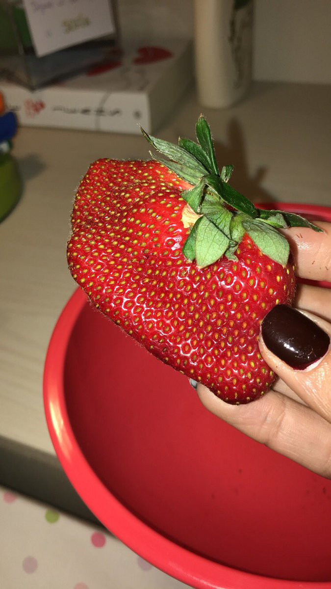 popiasahade's tweet photo. Rt a la frutilla de la suerte para aprobar todas las materias https://t.co/nIC5rD1tXN