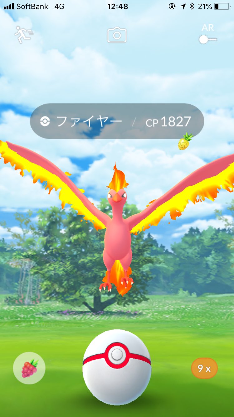 Motty 色違いファイヤーきたああああああああ かっけええええええええ ポケモンgo ファイヤー デイ Motty 色違いファイヤーきたああああああああ かっけええええええええ ポケモンgo ファイヤー デイ