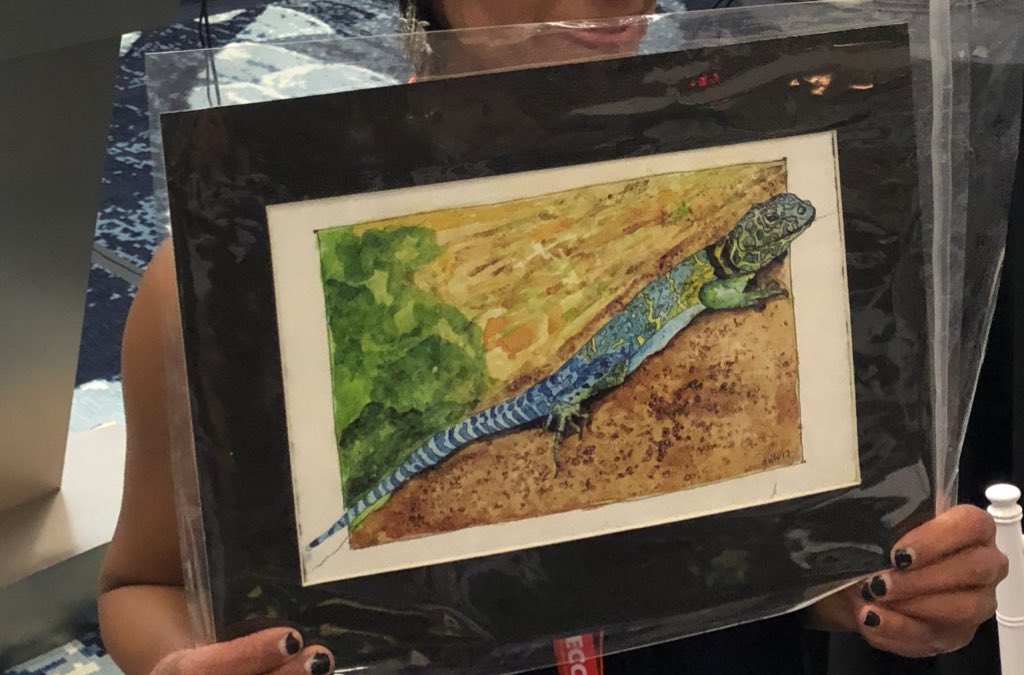ToadallyPriya's tweet photo. check out the hat I won at the #SWPARC2018 live auction, handmade by @laur_axe 
I also won a gorgeous collard lizard watercolor

Oh, and I was the auctioneer...  
assistance from Jared Holmes from @bambergerranch assisting
...we were super welcoming &amp; friendly https://t.co/lQs314RNCu