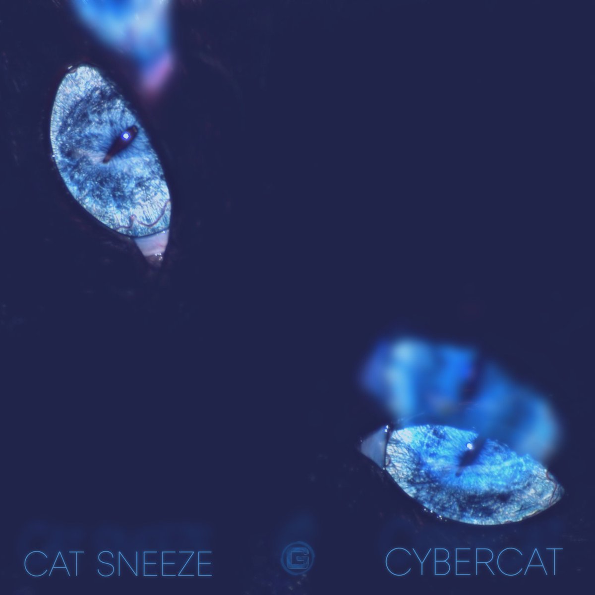 clubgmusic's tweet photo. A beautiful drop with brilliant sounds to save your set-list on the way... Stay-tuned!

#clubgmusic #electronicmusic #recordlabel #turkish #dj #artist #musicproducer #cat #catday #electrohouse https://t.co/dySoar8Ij8