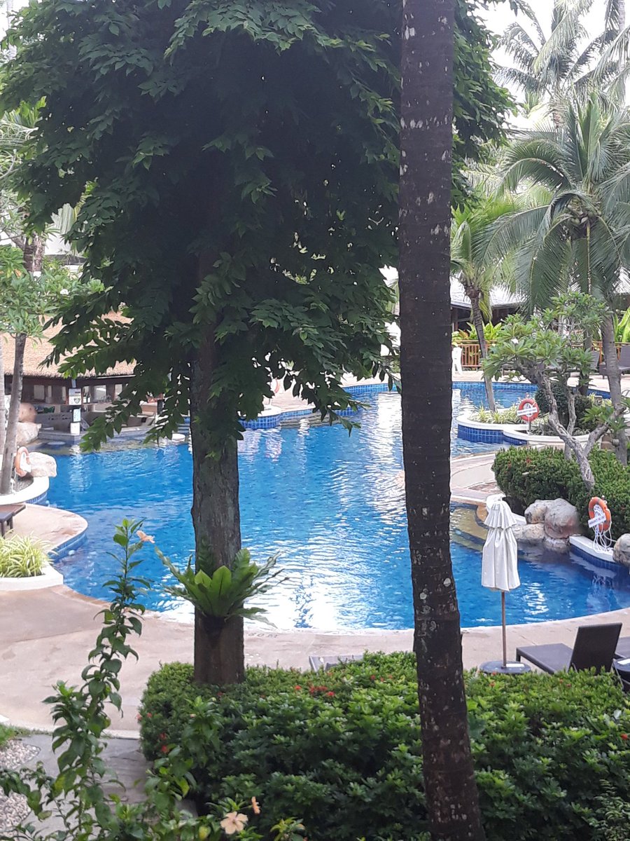 cazzy_devil's tweet photo. View from my room in Thailand baby!! Loving it so far 😎 https://t.co/nQq8542Htl