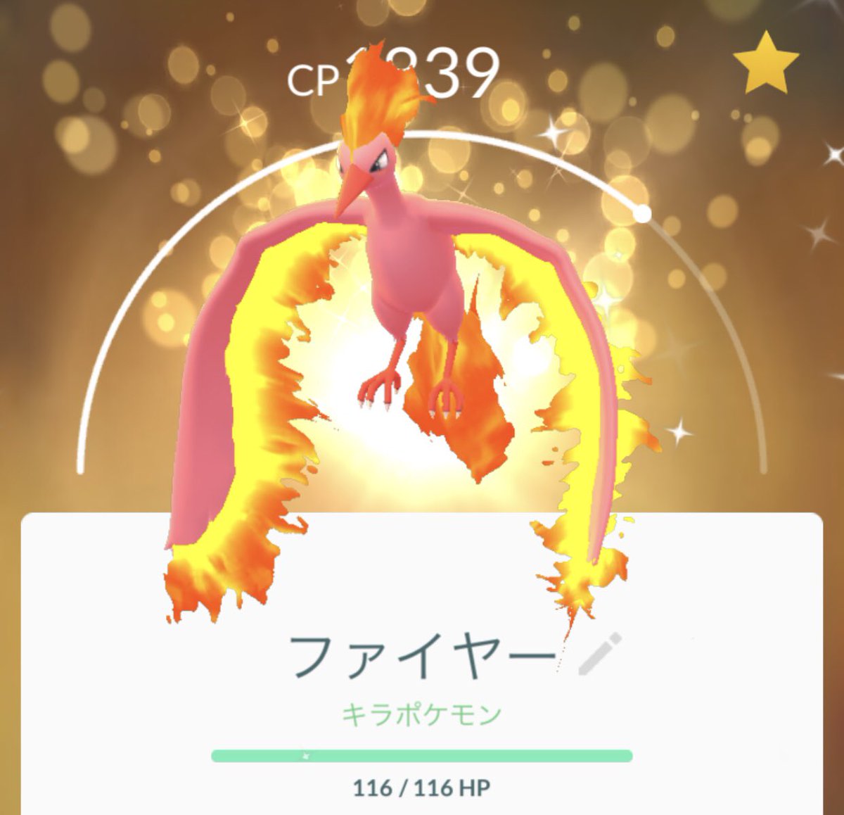 ポケモンgo 色違いキラファイヤーが続々と誕生 これは至高のコレクション ポケモンgo攻略まとめ速報