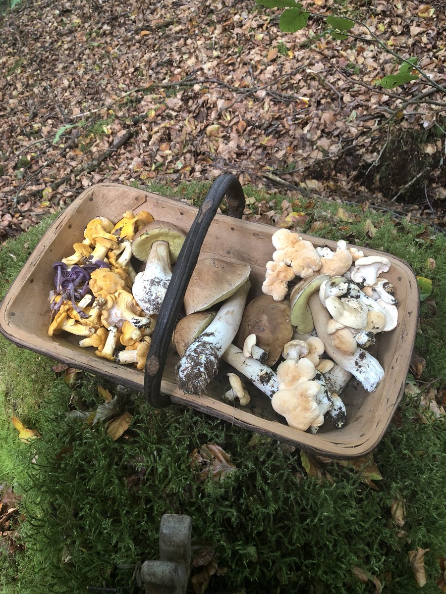 NWBushcraft's tweet photo. Today’s the day folks. Come along and see us and over 25 other organisations trying to make a difference to mental health at the free #Blurredline event. We’ll be at “The Grand” in clitheroe. We’ll also be giving a short talk on foraging for foods and medicines. https://t.co/BN8GMQ4rHB