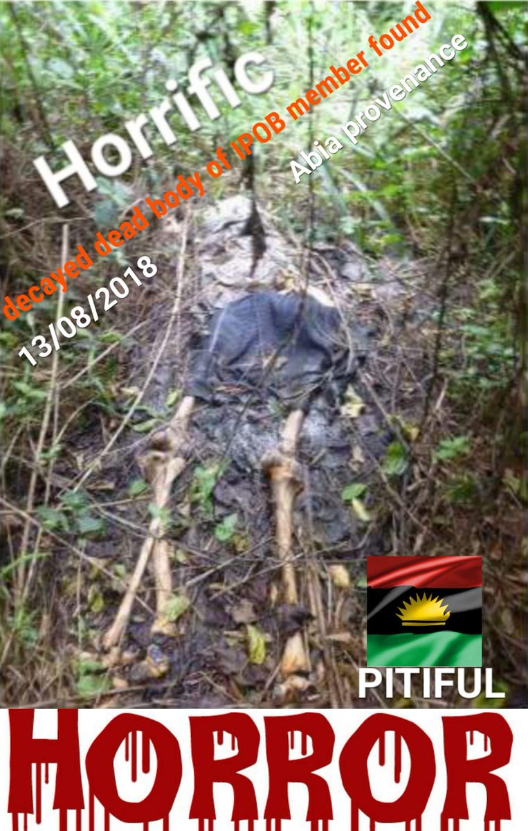 NNNewsMedia's tweet photo. Countdown day 6;
for total SHUTDOWN the ENTIRE Biafraland 14th Sept 2018
General Strike #SitAtHome to mourn innocent Biafra massacred in cold blood by @MBuhari terrorists military in Nigeria uniform during operation Python Dance 1&amp;2 and the invasion of our LEADER #NnamdiKanu Home https://t.co/QhyTMBKCCo