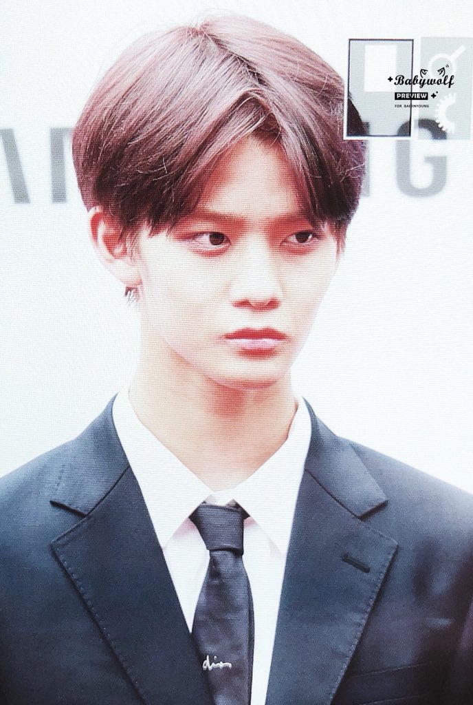 BabyWolf🐺베이비울프 tweet media