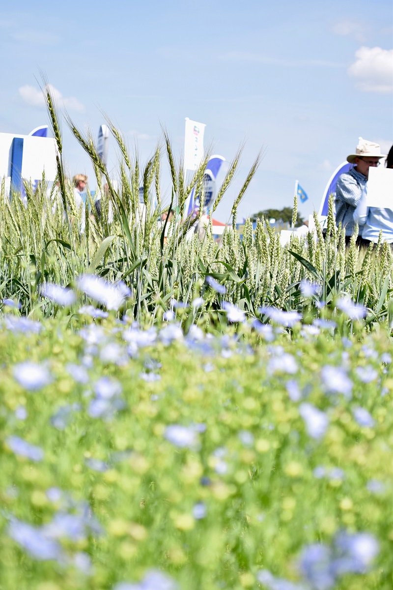 Natural England - Sussex and Kent Team tweet media