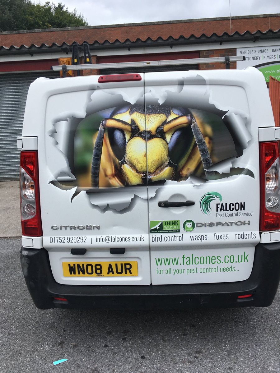 Watch out for this one! new van for matthew @falconpestcontrol using Coal 2d vinyl from <a href="/antalis/">Simon</a> and he wasn't stung with the price.... he was really buzzing as he left