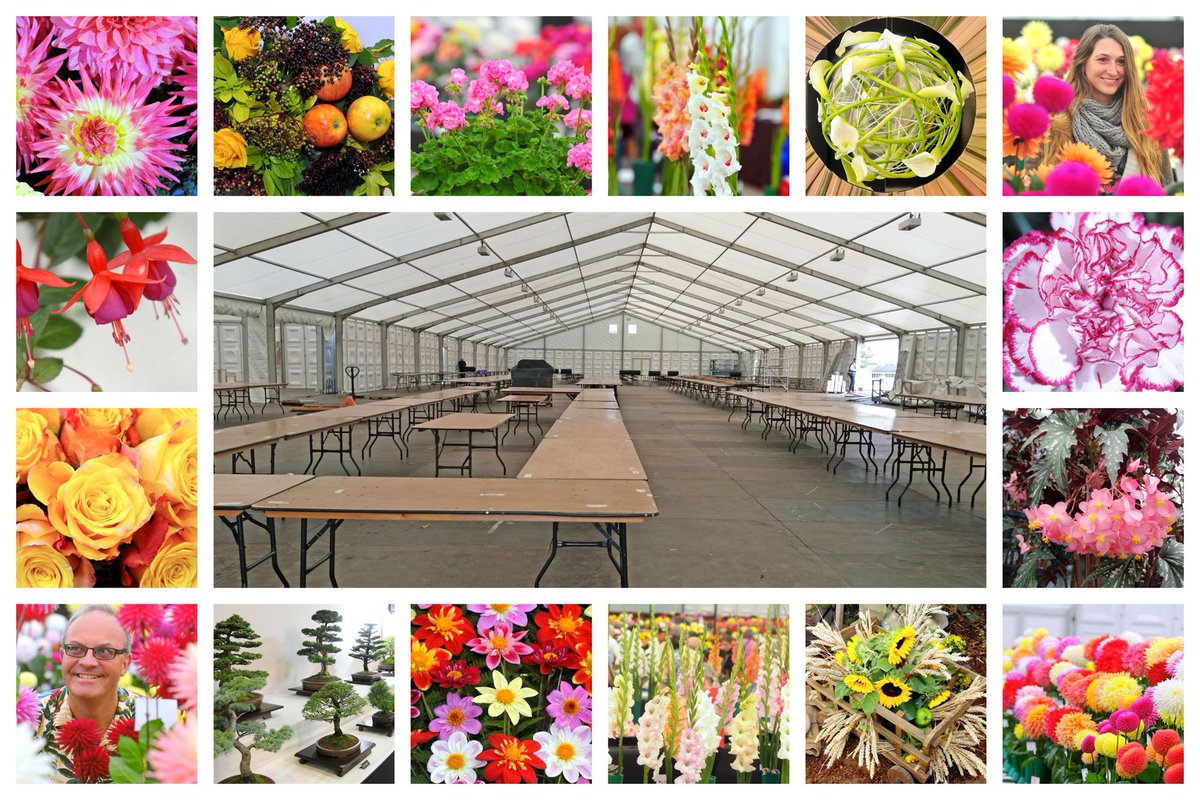 Harrogate Flower Shows tweet media