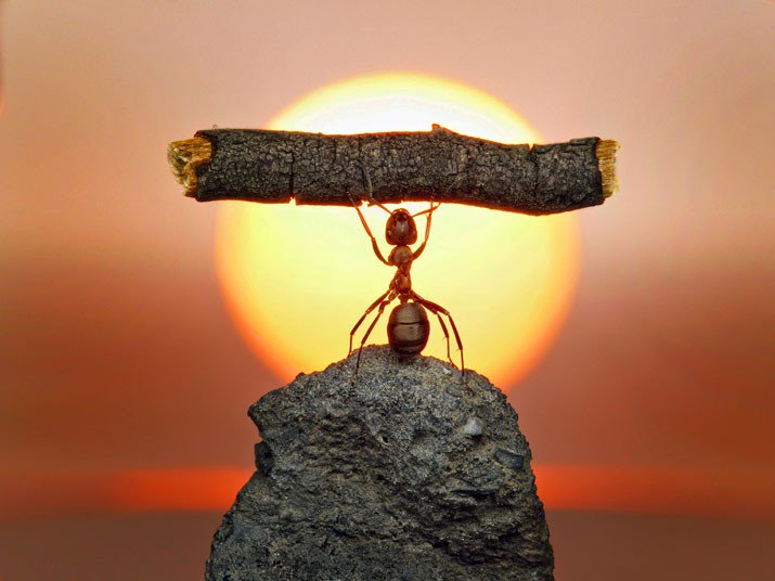 Nothing is impossible 💪Just rise as step towards possibility...