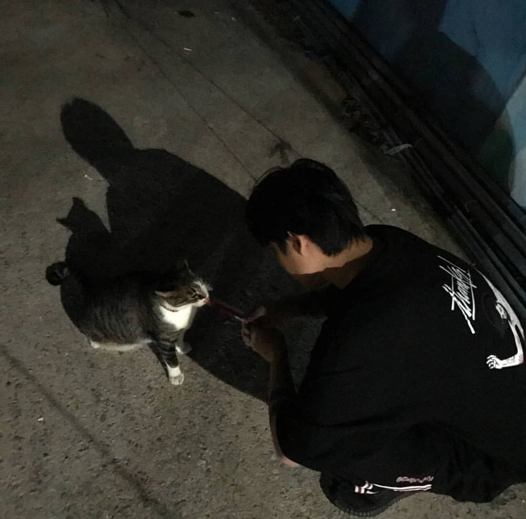 gunheearchive's tweet photo. Soft cat lover https://t.co/sYOuSr0wpU