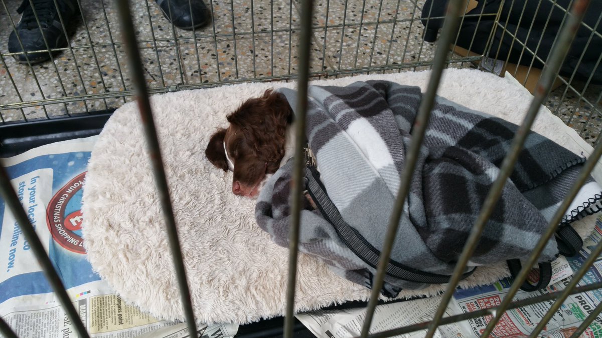 BillesleyWMP's tweet image. A hard days work for #pddelph..... good work. Night night @BillesleyFire @InspMurrinWMP