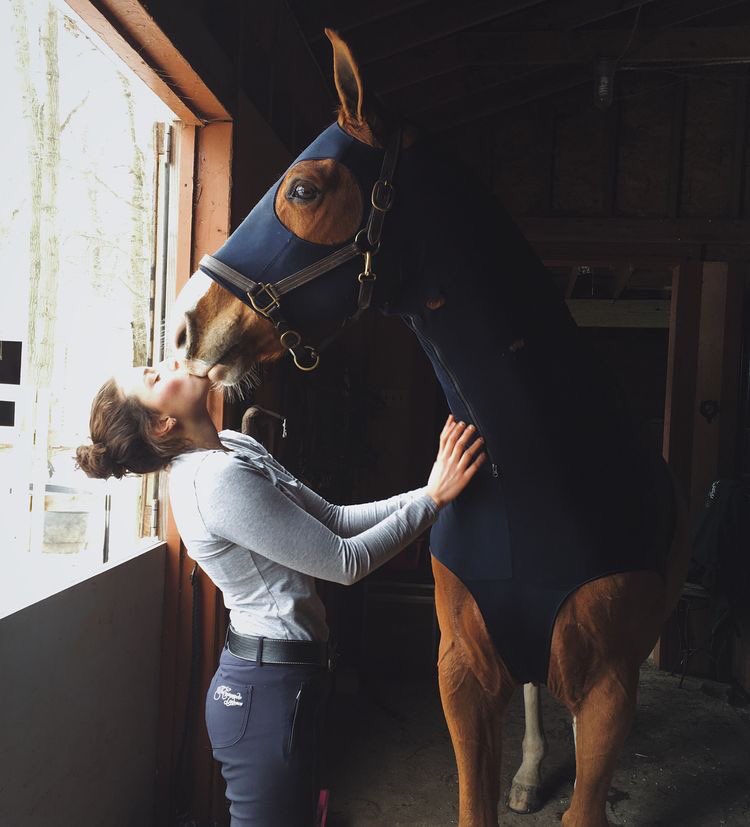 af_horse6's tweet photo. 🐎💙💙 https://t.co/oJ74GpBGDz