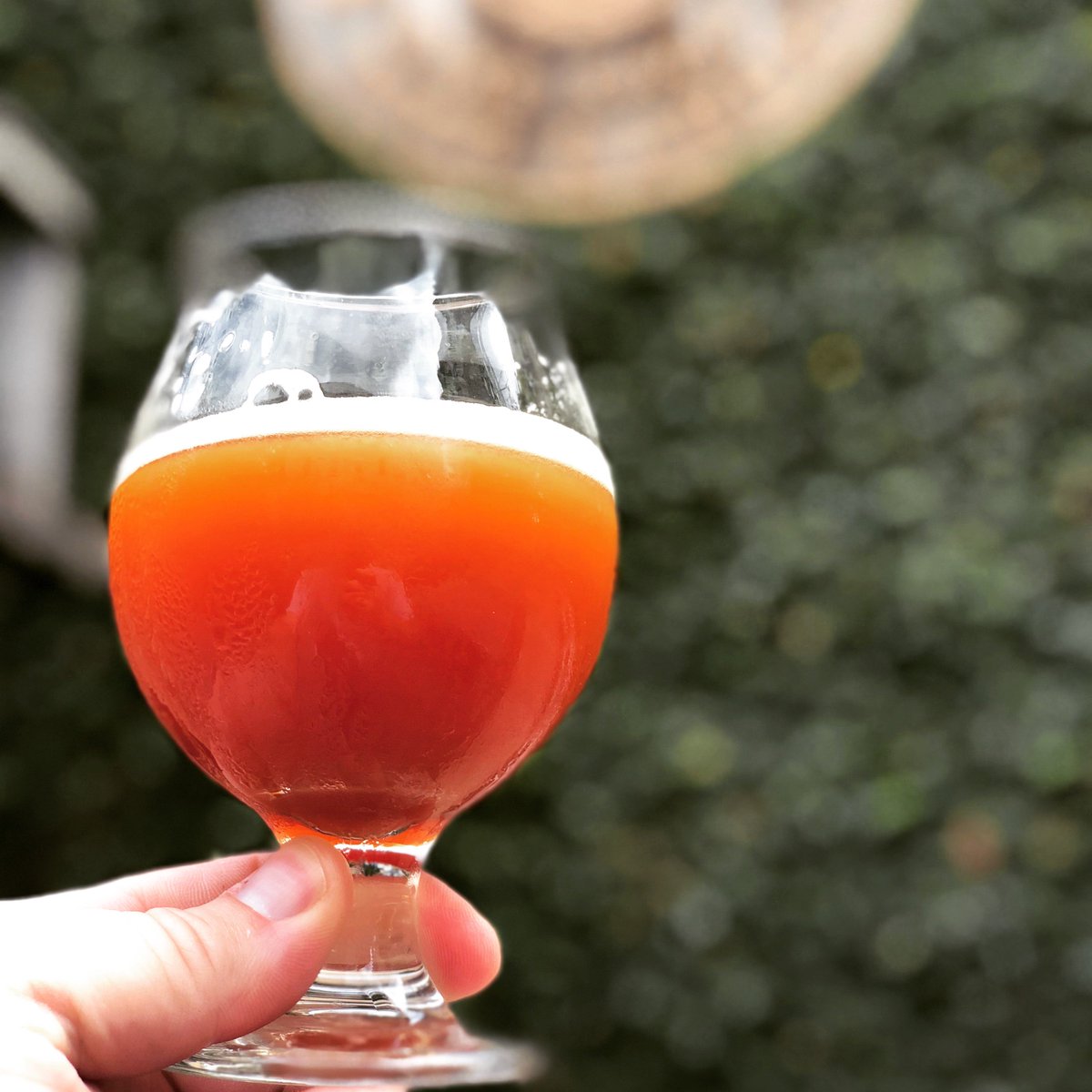 EasyTigerATX's tweet image. 6TH ST #NationalSourBeerDay celebration TODAY 11a-2a feat. 9 American craft sour beers: @BlueOwlBrewing @RealAleBrewing @jesterkingbeer @VictoryBeer @UplandBrewCo @CigarCityBeer @jollypumpkin @BrueryTerreux @cascadebrewing
facebook.com/events/7001544…
#CraftBeerATX #ATXCraftBeer