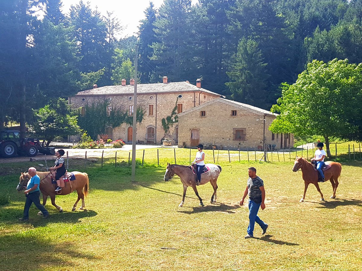 Parchi a Cavallo con <a href="/camminasila/">camminasila</a>  un'esperienza unica. 
Su camminasila.com nella sezione eventi tutte le informazioni sulle nostre #escursioni a #cavallo nel cuore del #parconazionaledellasila