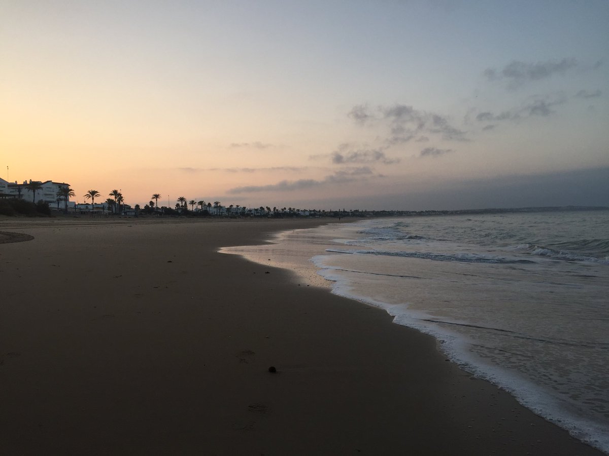 geiss_matt's tweet photo. Letzter Lauf in Andalusien - barfuß 👣 am Strand 🏝 von La Barossa. Kaum Menschen ganz in der Früh aber dafür ein lustiger Krebs 🦀 #Laufen #Strand #LaBarossa #Krebs https://t.co/nV804mFgJn