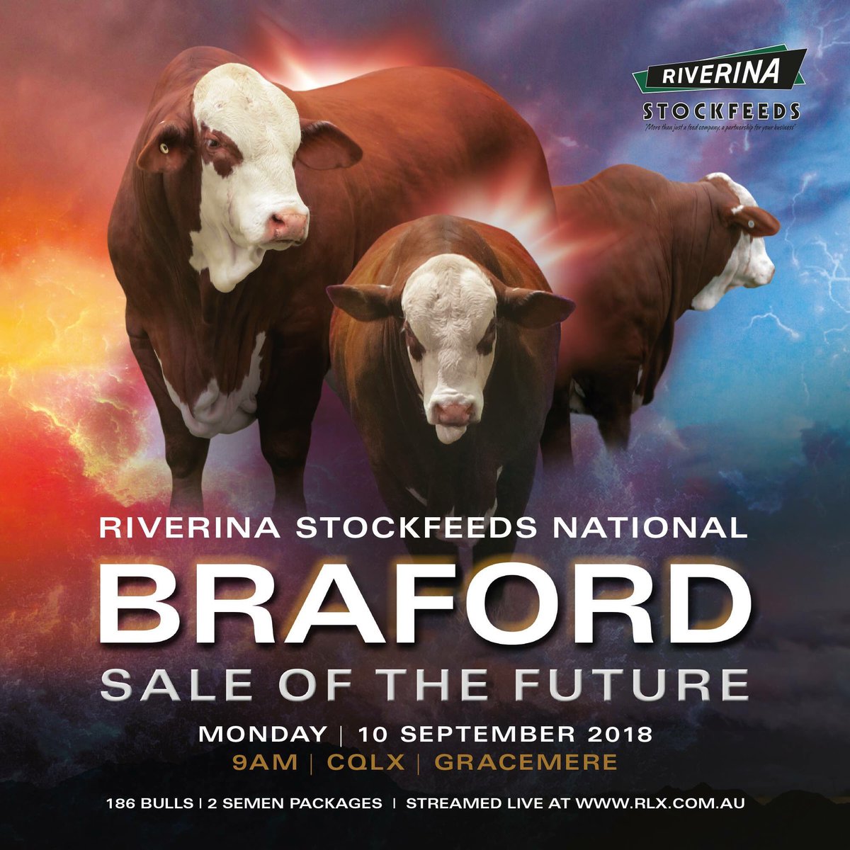 CQLX_Gracemere's tweet photo. The Australian Braford Society are kicking off a busy week at #CQLX on Monday with the 2018 Riverina Australia Stockfeeds National Braford Bull Sale.
REGISTER TO BID ONLINE HERE >> https://t.co/ztkXbRYxQz https://t.co/Ej3CQczHAR