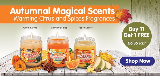 vetdirectuk's tweet photo. Get our #bestseller limited edition for September before they’re gone #petodorcandles #vetdirectuk #vetdirect https://t.co/UCIYyvil9j