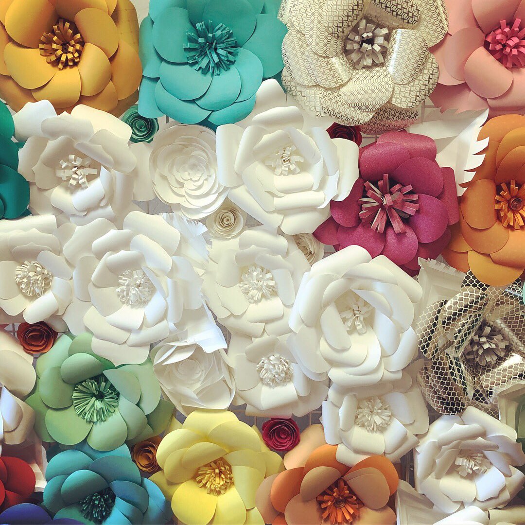 MonAmiePaperie's tweet photo. So thrilled to have my 6x6 foot paper flower wall up at a florist here in Albuquerque 🌺🌸🌼
https://t.co/Ejju84EPpj
#paperflowers #etsy #etsyseller #weddingdecor #photobackdrop #photographybackdrops #wedding #flowerbackdrop #paperflowerbackdrop https://t.co/LpIA9xhk8d
