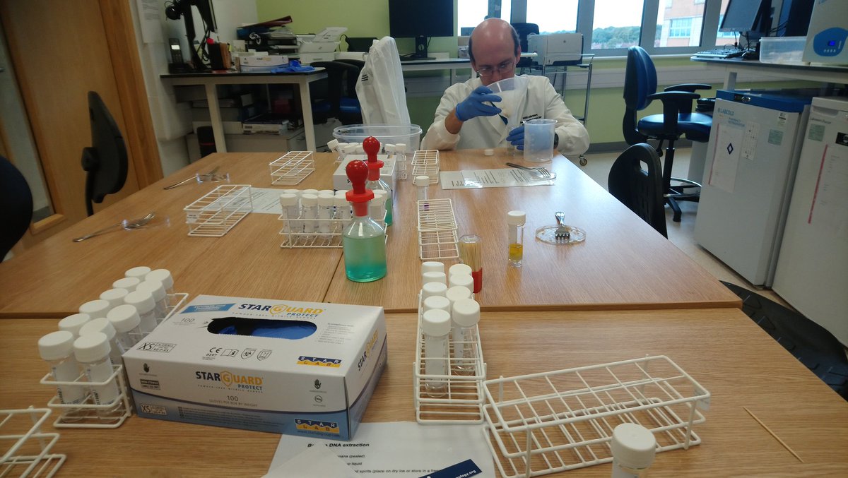 UoS_WISHlab's tweet image. All ready for DNA extraction from bananas! #UHSOpenDay #WISHlab