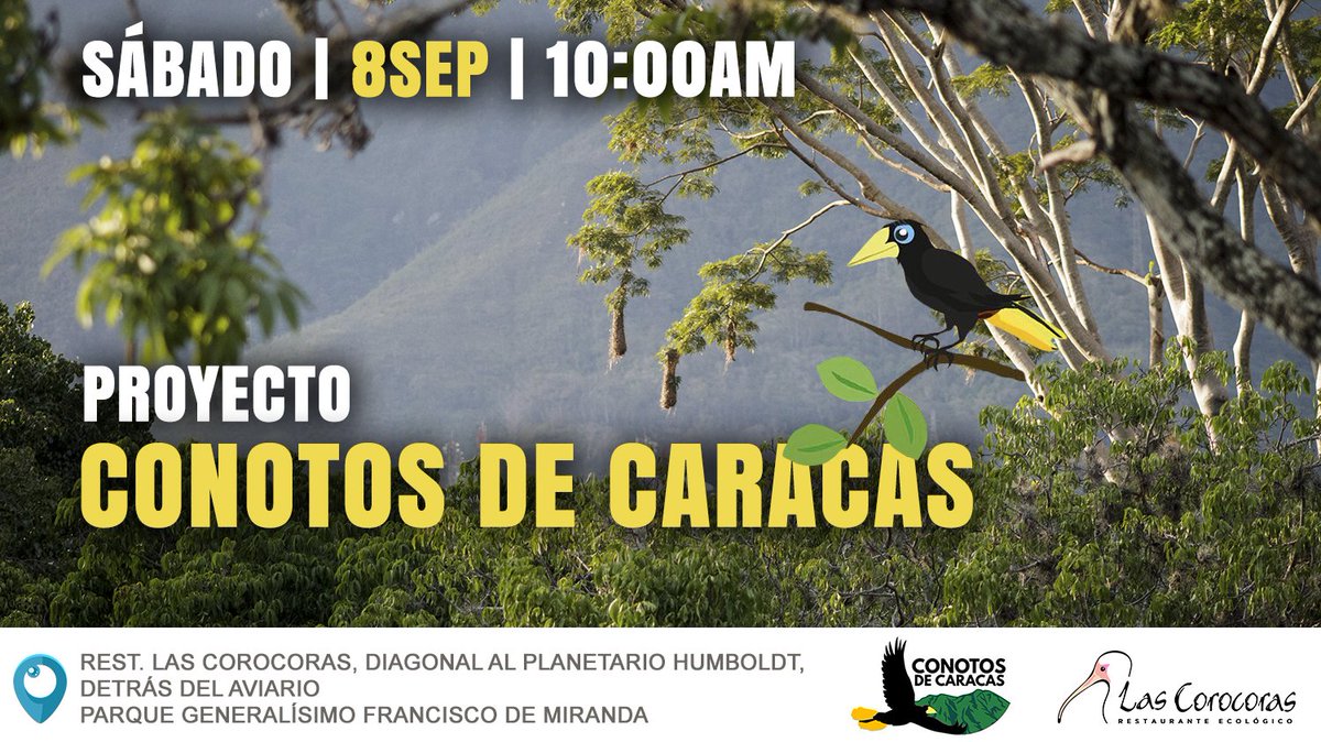 LasCorocoras's tweet photo. Conoce el mundo de estas hermosas aves! @ConotosCCS Conotos de Caracas #Hoy #8Sep a las 10:00am !
•••
#Fauna #Aves #Naturaleza #Parque #Birds #Ccs #HoyQueHay #ProgramaciónLasCorocoras #Programación #Familia #8sep2018 https://t.co/olH8GMLqnU