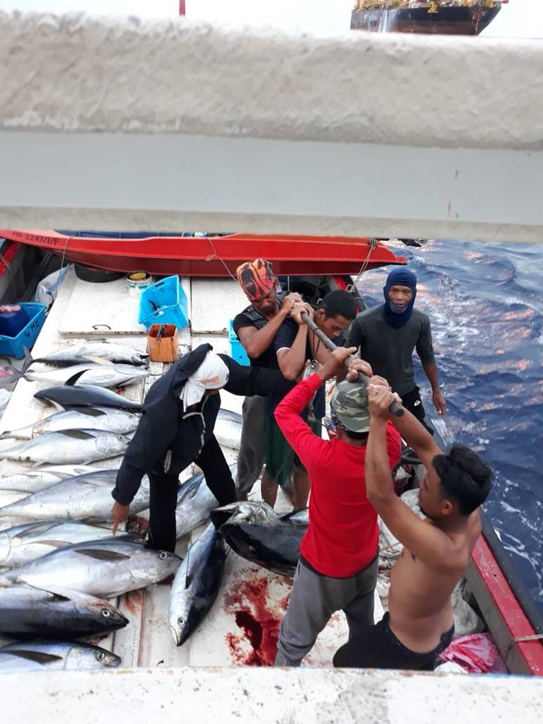 dofmalaysia's tweet photo. Pendaratan 8 TM ikan tuna yellowfin dgn berat 70-80kg/ekor oleh nelayan jongkong En Hamjah Abugau dari Labuan #myDOF #moa https://t.co/HuhtP00uRd
